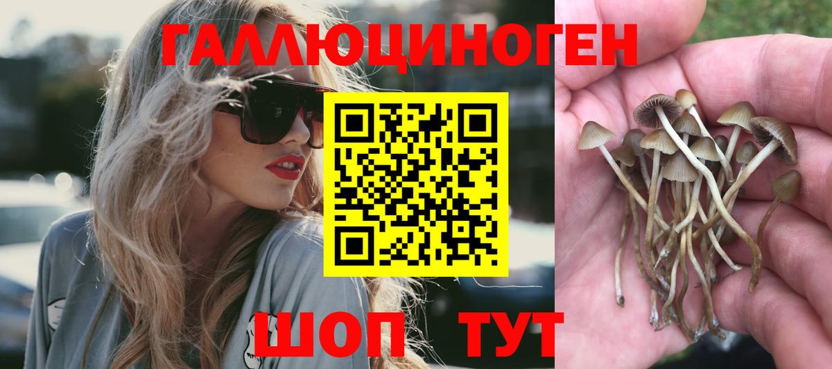 Псилоцибиновые грибы Cubensis  Вход с VPN  что такое наркотик  Петропавловск-Камчатский 